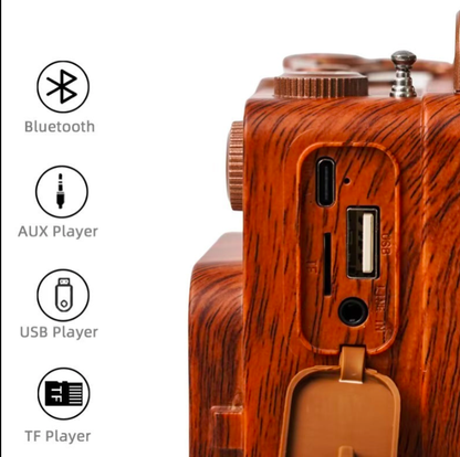 A8 FM Radio Retro Dual Vintage Speaker
